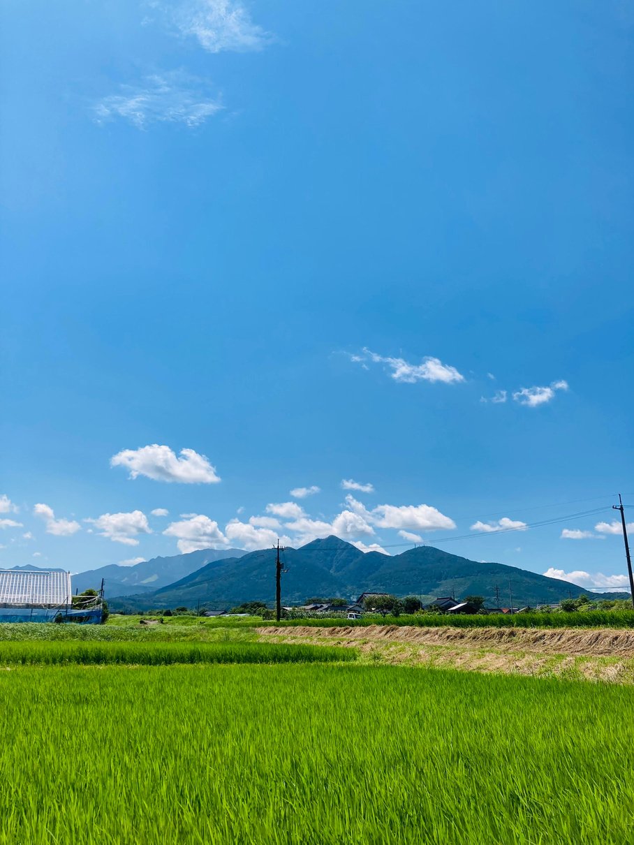 らくだ農園から見る景色
空高く人がる青い空に聳える大山と広がる田園風景
ACSESS
住所　〒689-3332
鳥取県西伯郡末長443-2
070-3607-0410