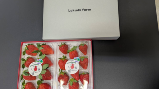 いちごの通販